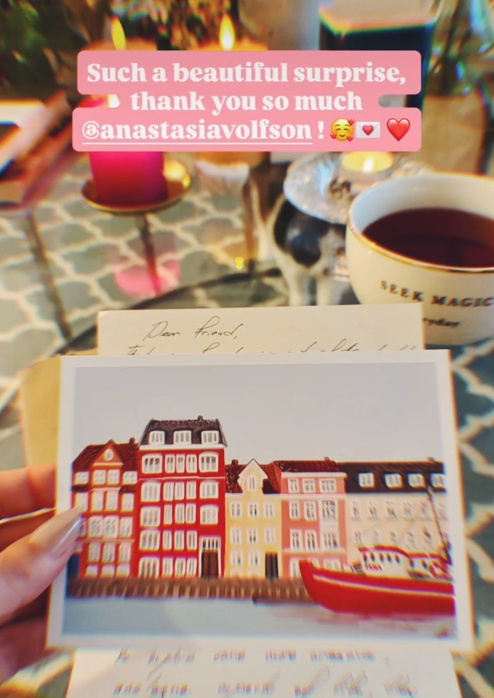 VOLFY NORDICS snail mail club